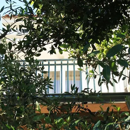 Iva Apartment