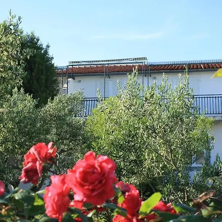 Iva Apartment Vodice